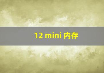 12 mini 内存